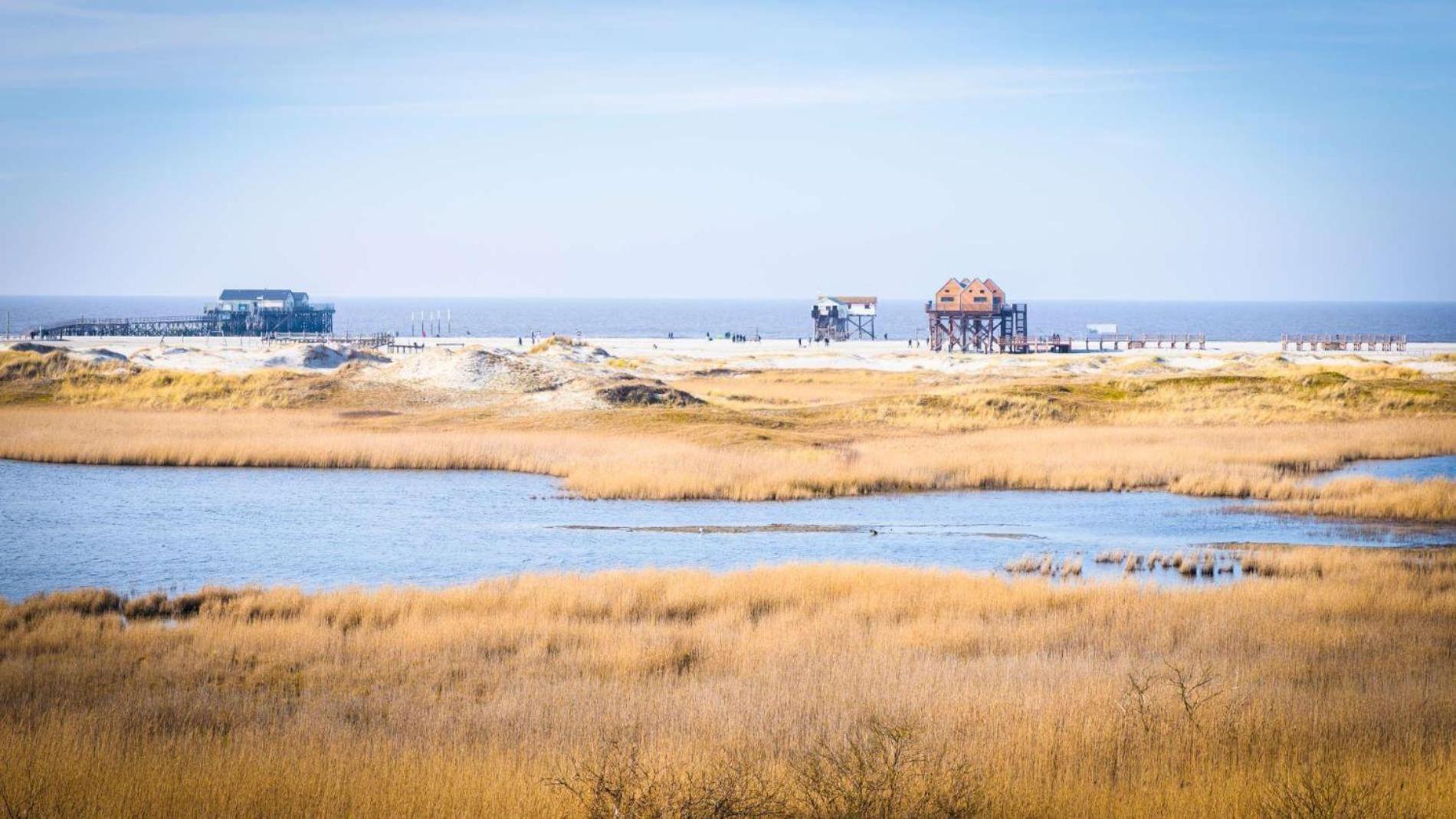 Haushaelfte-Poppenspaeler Sankt Peter-Ording Exteriör bild